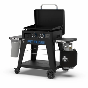2-Burner Ultimate Lift-Off Griddle