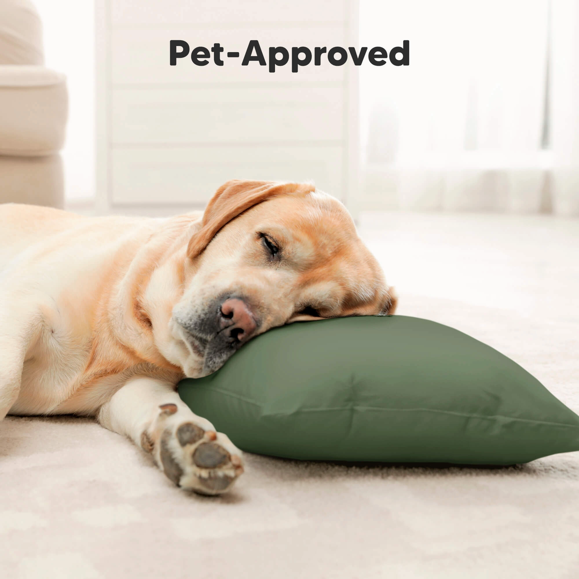 Buddy Toddler Pillow (Jungle Green)