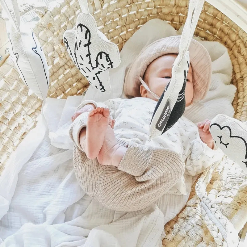 Corn Husk Moses Basket with Insert