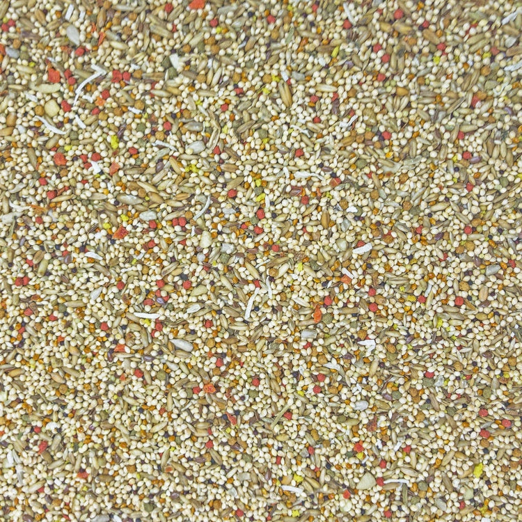 Higgins Sunburst Gourmet Blend Parakeet Food