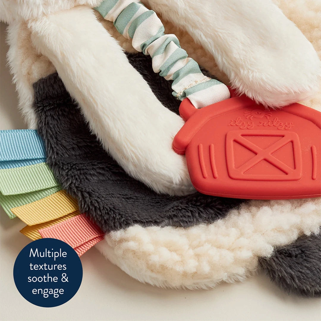 Itzy Lovey Plush And Teether Toy