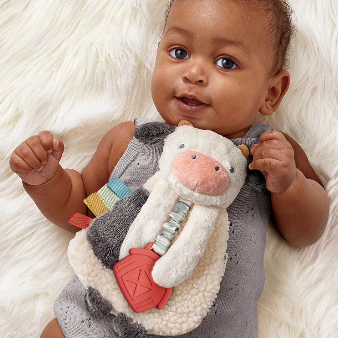 Itzy Lovey Plush And Teether Toy