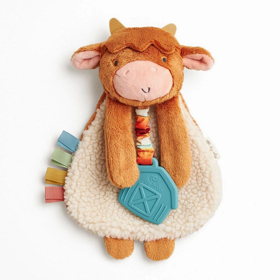 Itzy Lovey Plush And Teether Toy