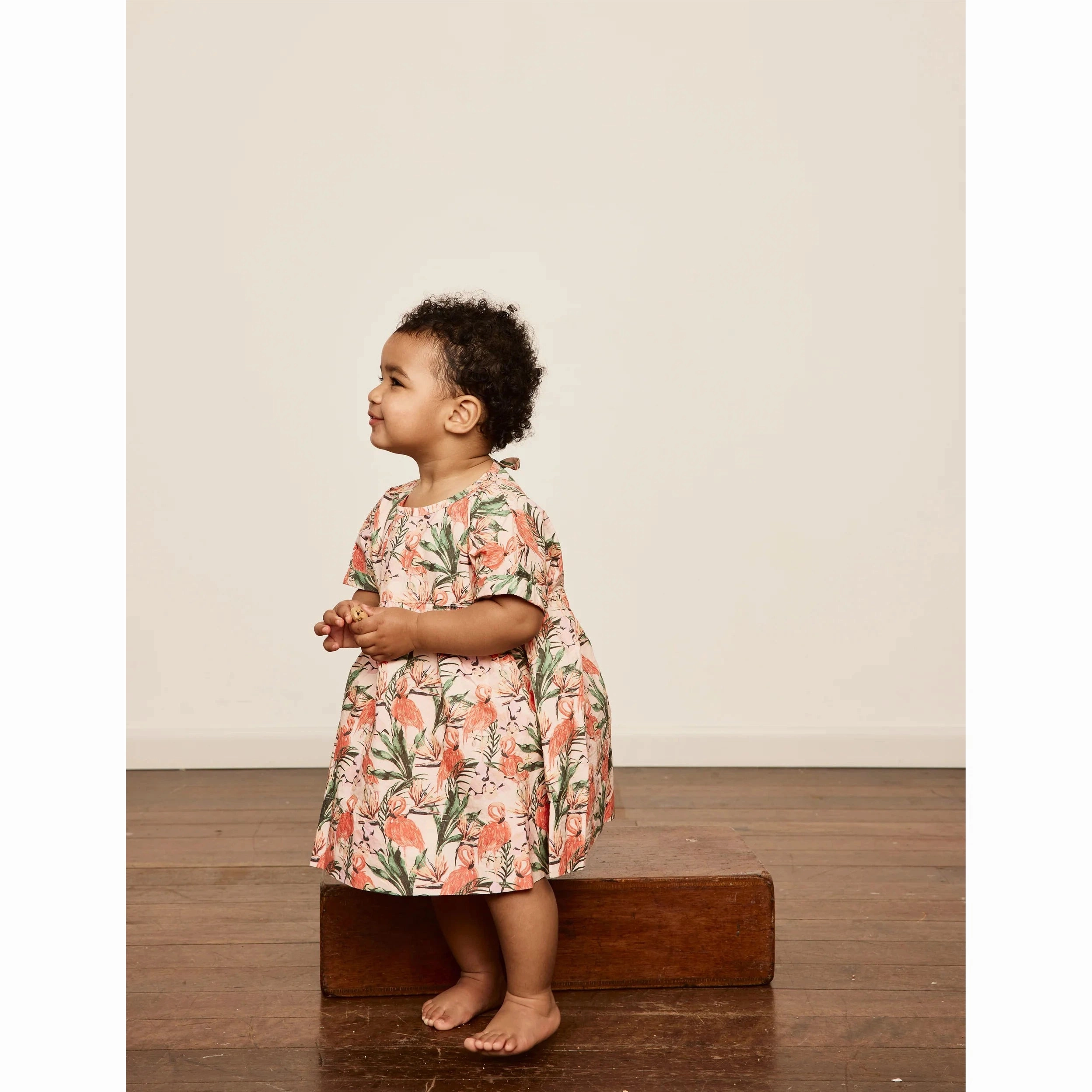 Lulu Cotton Dress VARIOUS COLOURS