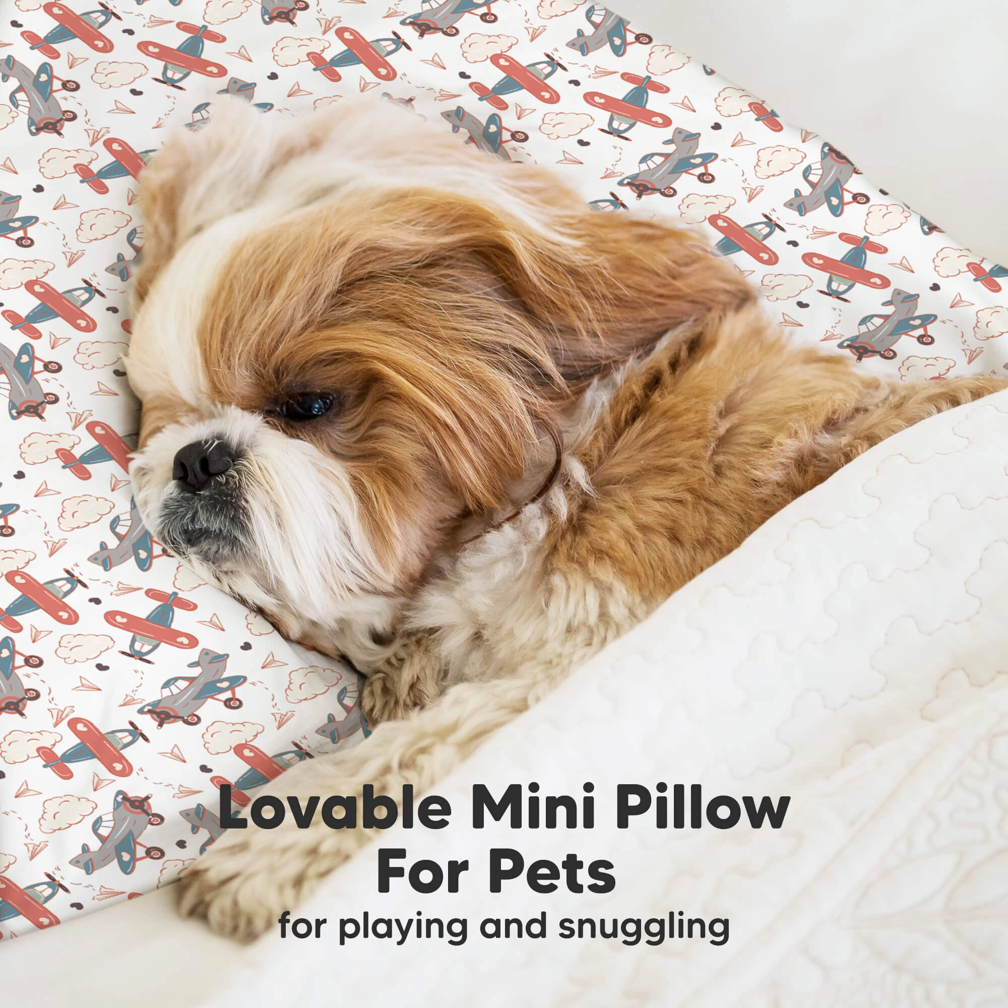 Mini Toddler Pillow With Pillowcase (Aircraft)