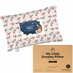 Mini Toddler Pillow With Pillowcase (Aircraft)
