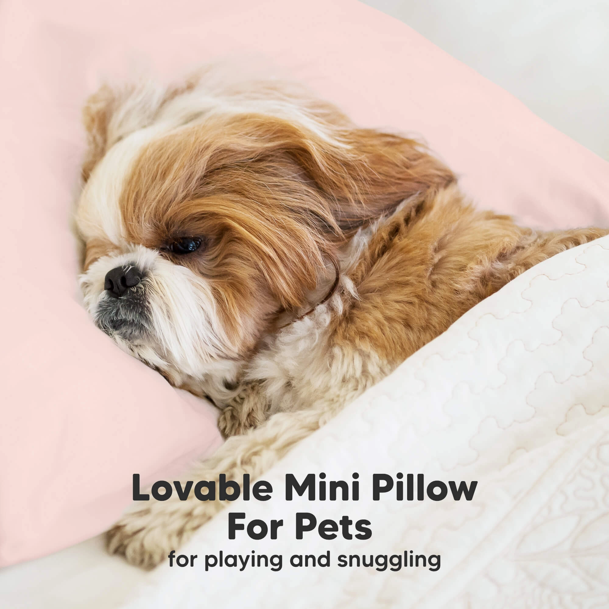 Mini Toddler Pillow With Pillowcase (Mist Pink)