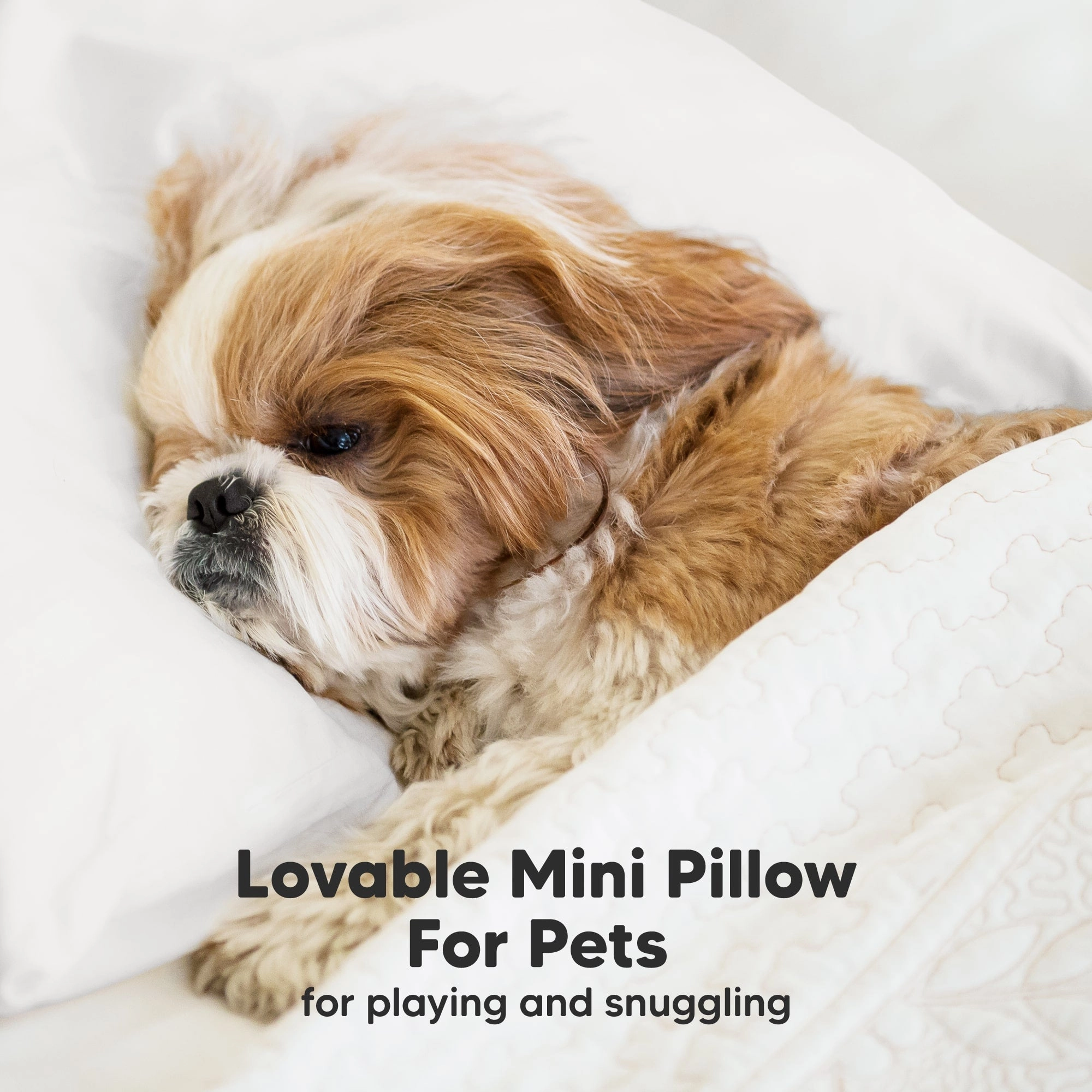 Mini Toddler Pillow With Pillowcase (Soft White)