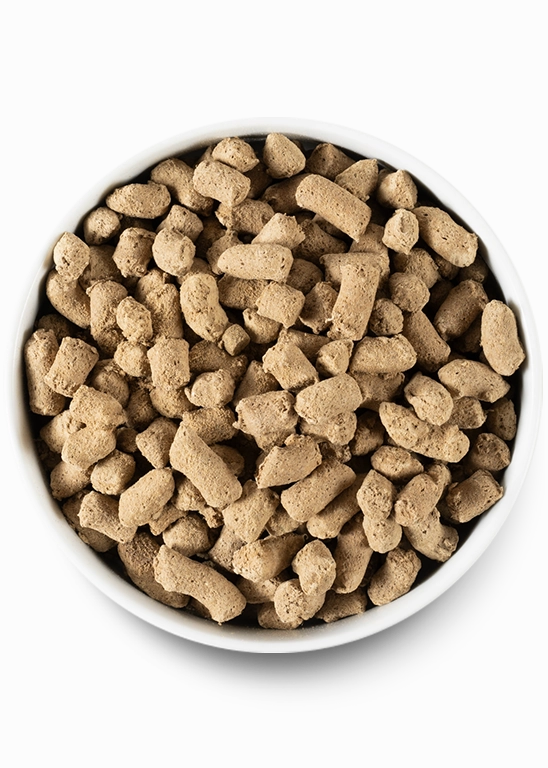 Open Farm Pasture-raised Lamb Freeze Dried Raw Dog Food